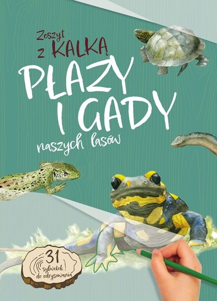 Płazy i gady naszych lasów. Zeszyt z kalką