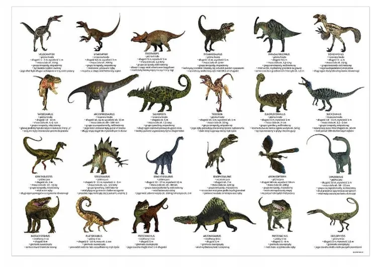 Podkładka na biurko, Dinozaury