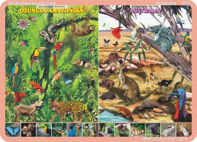 Podkładka na biurko, mata, dwustronna, Zwierzęta Amazonii, Australii, Arktyki, raf koralowych