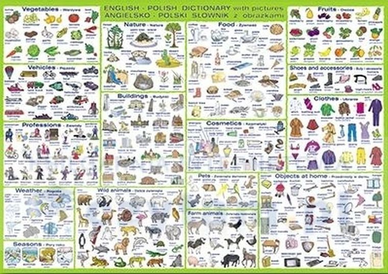 Podkładka na biurko, słownik obrazkowy angielsko-polski