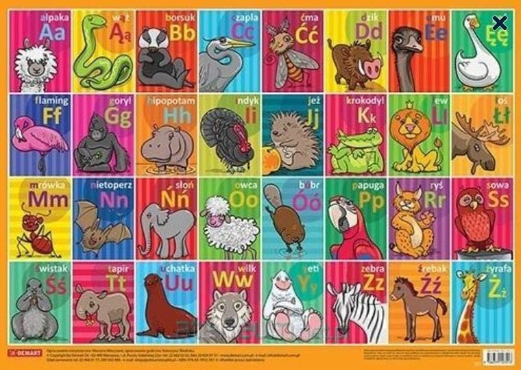 Polski alfabet. Plansza edukacyjna na ścianę i biurko
