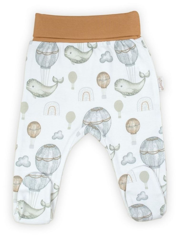 Półśpiochy chłopięce, białe, Nicol