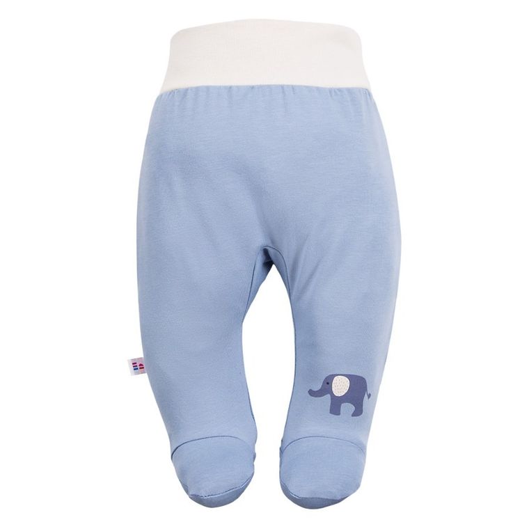 Półśpiochy chłopięce, niebieskie, Eevi