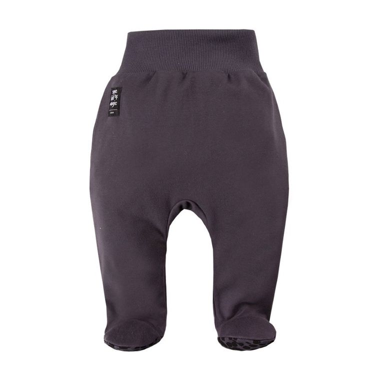 Półśpiochy niemowlęce, ciemnoszare, Eevi