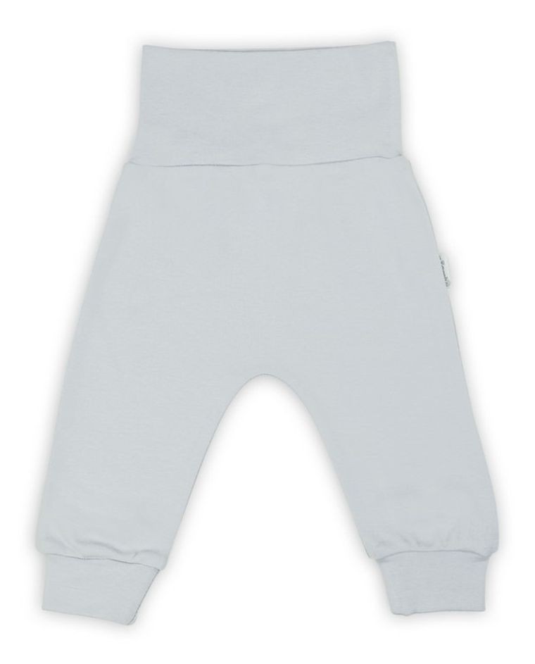 Półśpiochy niemowlęce, szare, Nicol