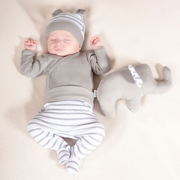 Półśpiochy niemowlęce, szare, Nicol