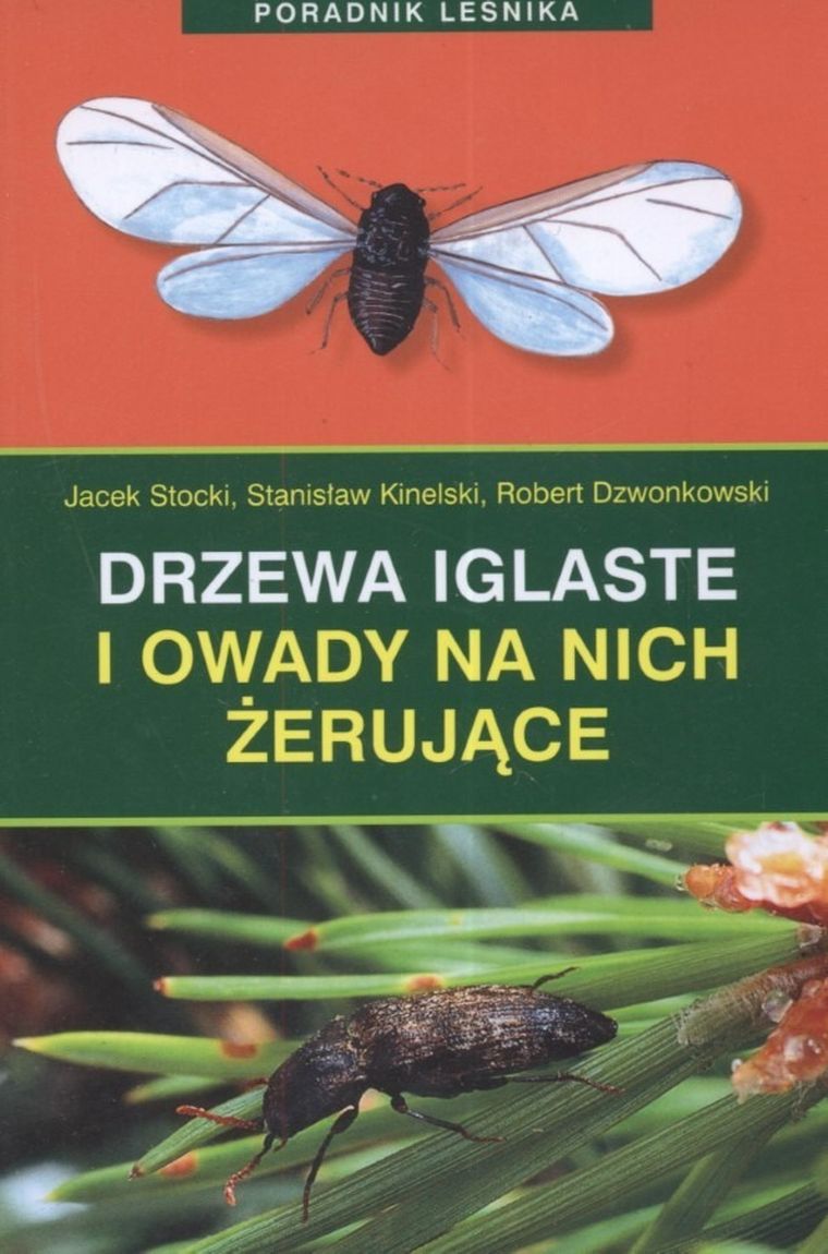 Poradnik leśnika. Drzewa iglaste i owady na nich żerujące