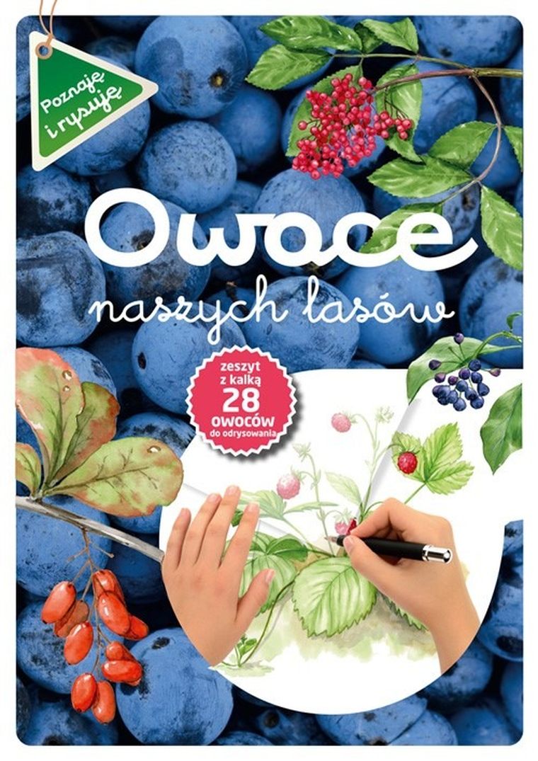 Poznaję i rysuję. Owoce naszych lasów