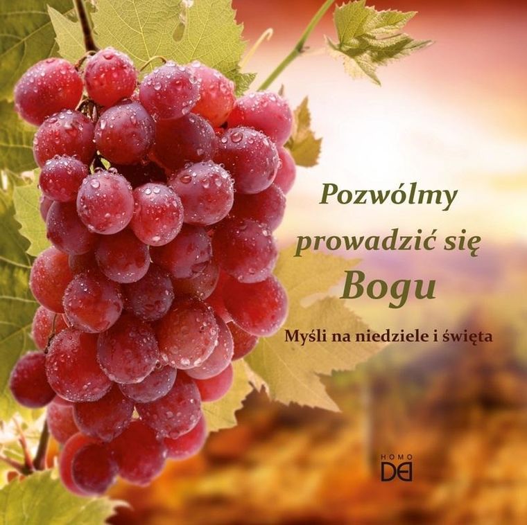 Pozwólmy prowadzić się Bogu. Myśli na niedzielę i święta
