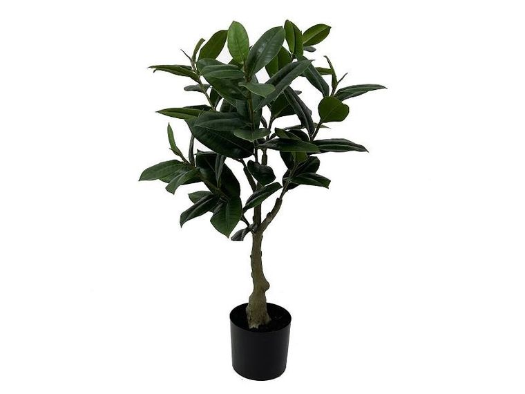 Present Time, sztuczna roślina, drzewko kauczukowe, 69 cm