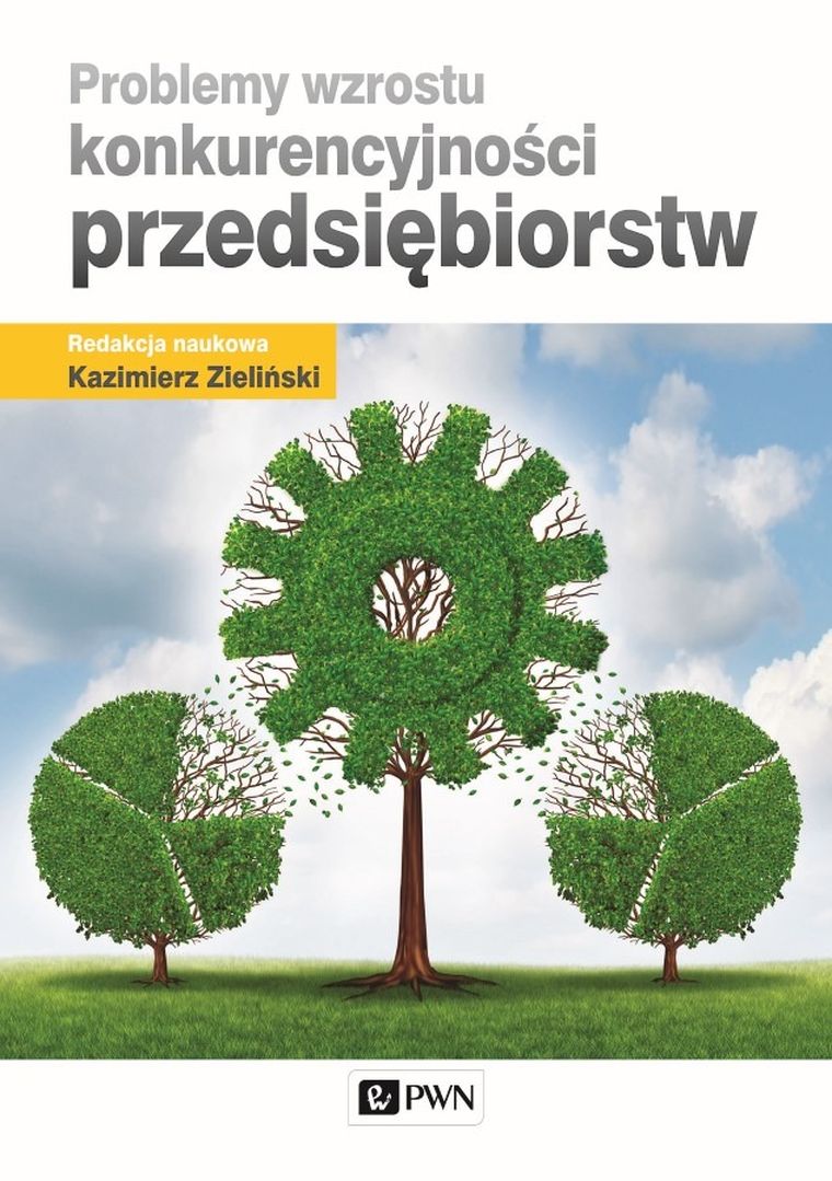Problemy wzrostu konkurencyjności przedsiębiorstw