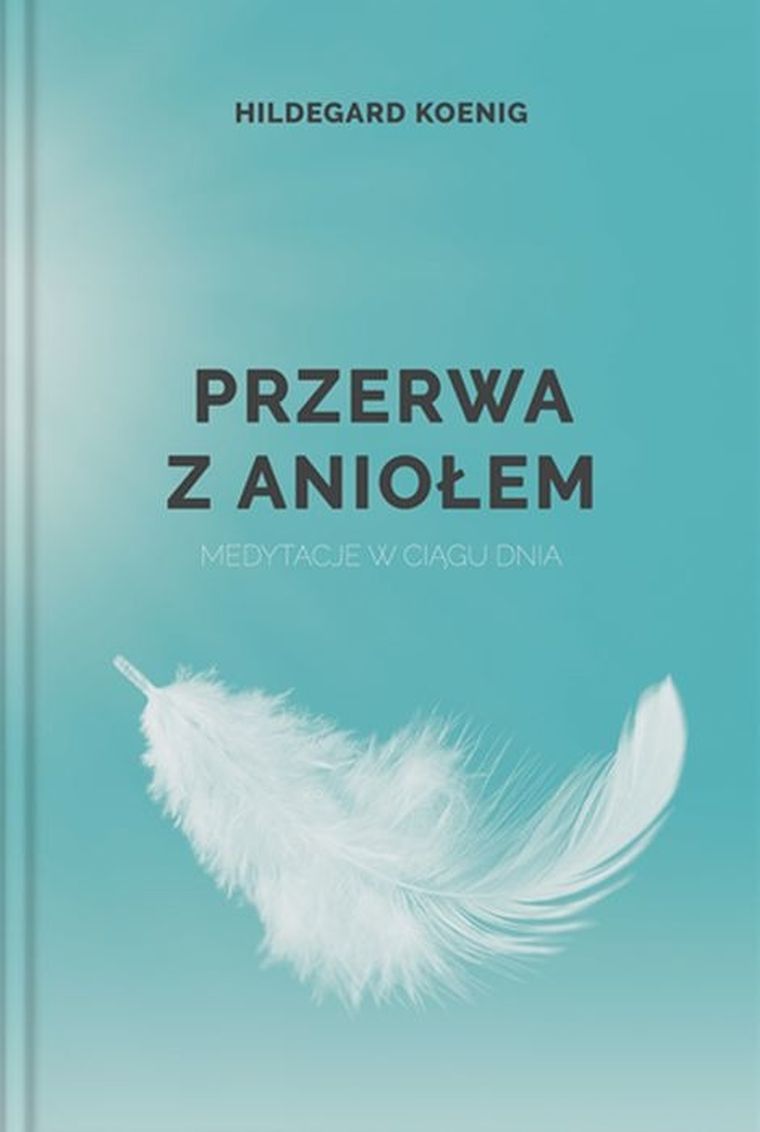 Przerwa z aniołem. Medytacje w ciągu dnia