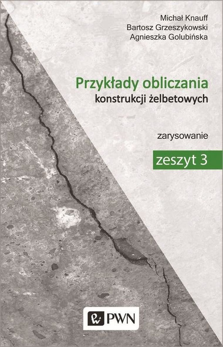 Przykłady obliczania konstrukcji żelbetowych. Zeszyt 3
