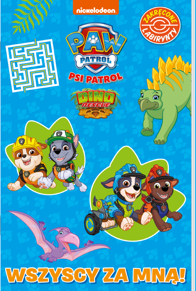 Psi Patrol. Zakręcone labirynty. Wszyscy za mną!