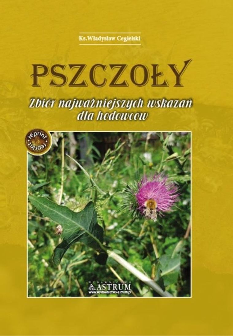 Pszczoły