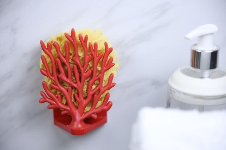 Qualy, Coral, uchwyt na gąbkę