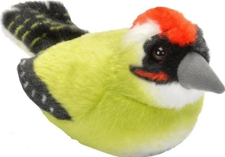 Ranok Creative, Dzięcioł, zielony, maskotka