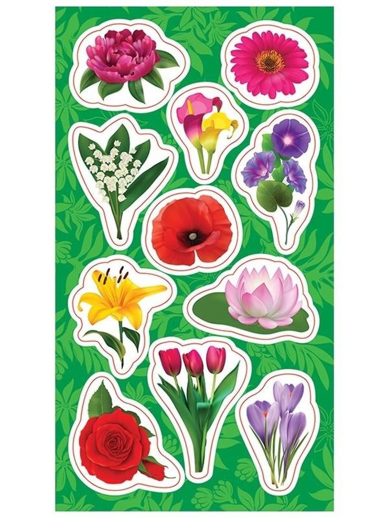 Ranok Creative, naklejki, kwiatki