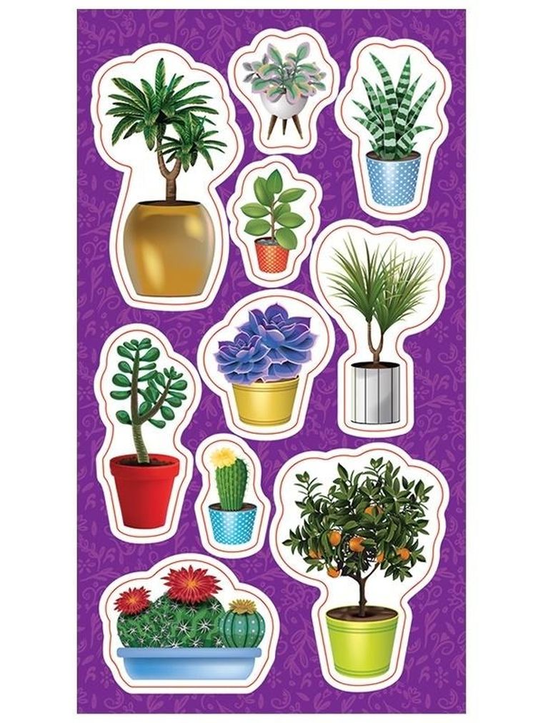 Ranok Creative, naklejki, kwiatki doniczkowe