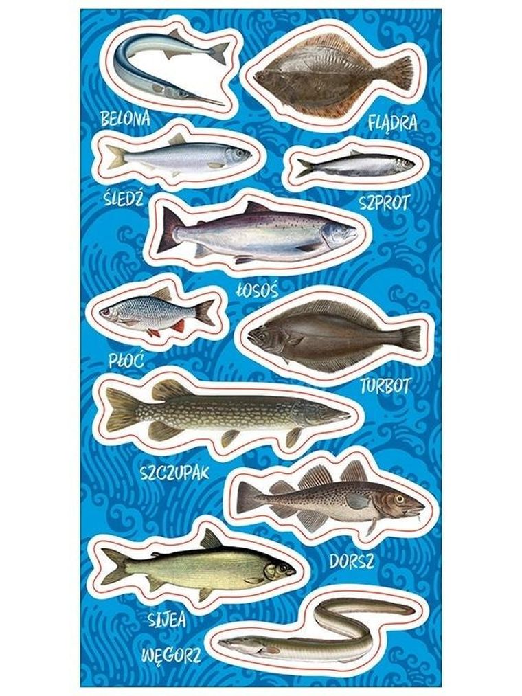 Ranok Creative, naklejki, Ryby bałtyckie