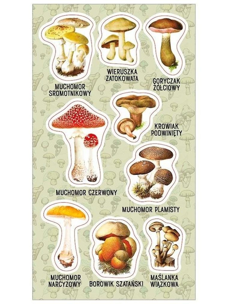Ranok Creative, naklejki, Trujące grzyby