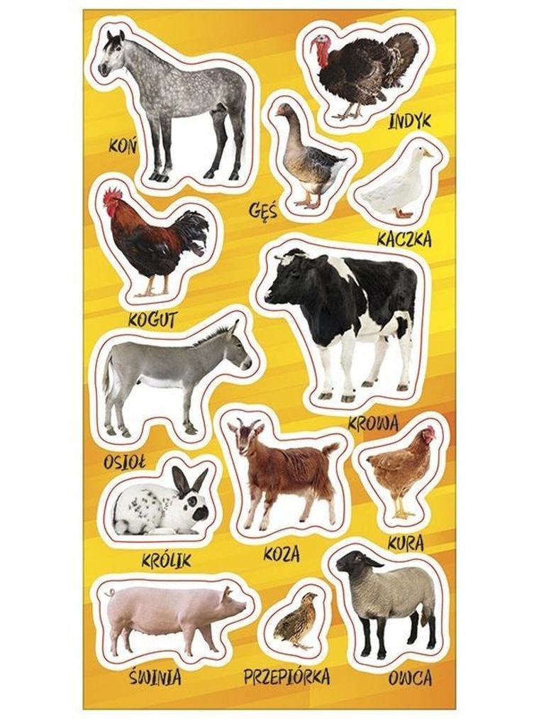 Ranok Creative, naklejki, Zwierzęta domowe