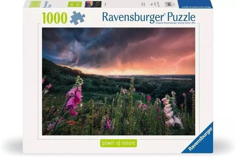 Ravensburger, Nadchodzi burza, puzzle, 1000 elementów