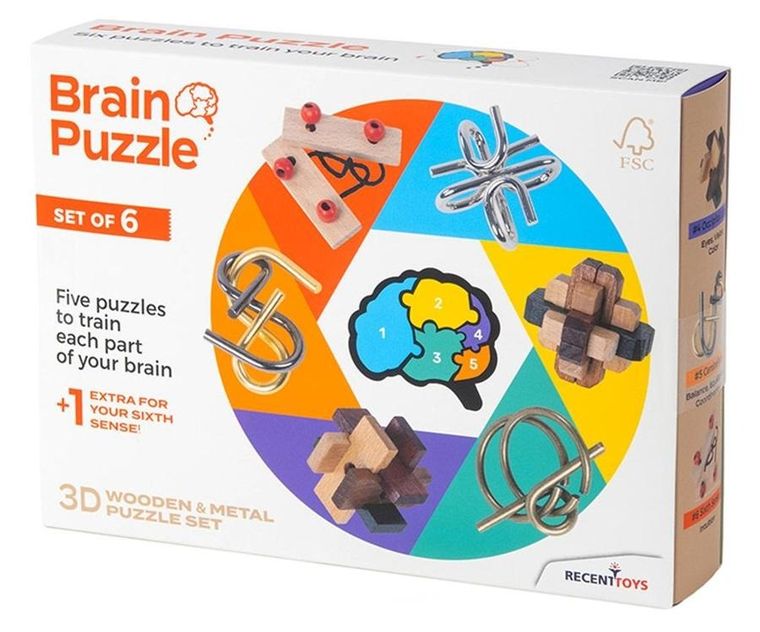 Recent Toys, Brain Puzzle, łamigłówki, 6 elementów
