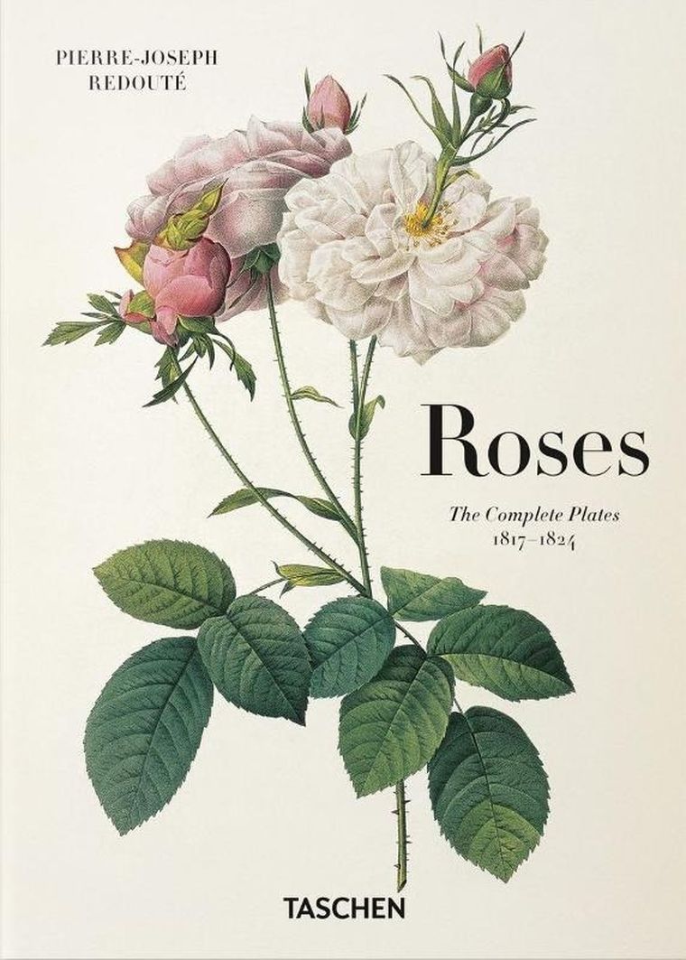 Redoute. Roses (wersja angielska)