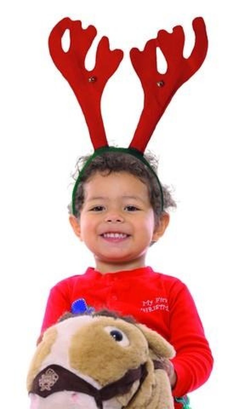 Renifer, opaska, rogi, zielona