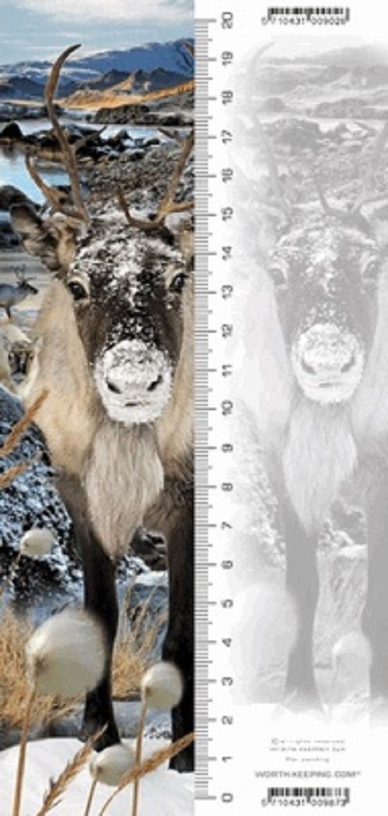 Renifer, zakładka 3D