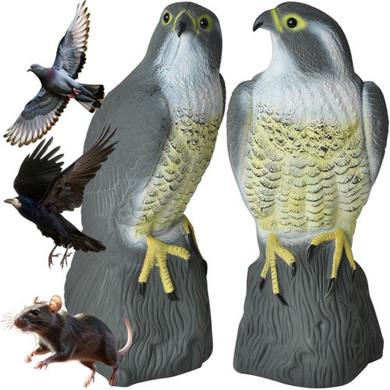 Repest, odstraszacz ptaków, sokół