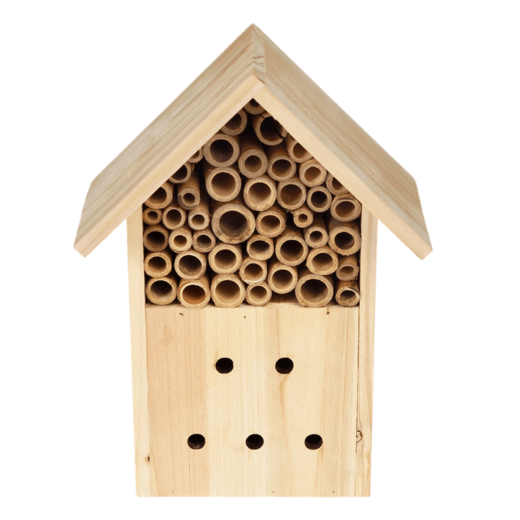 Rex London, domek dla owadów