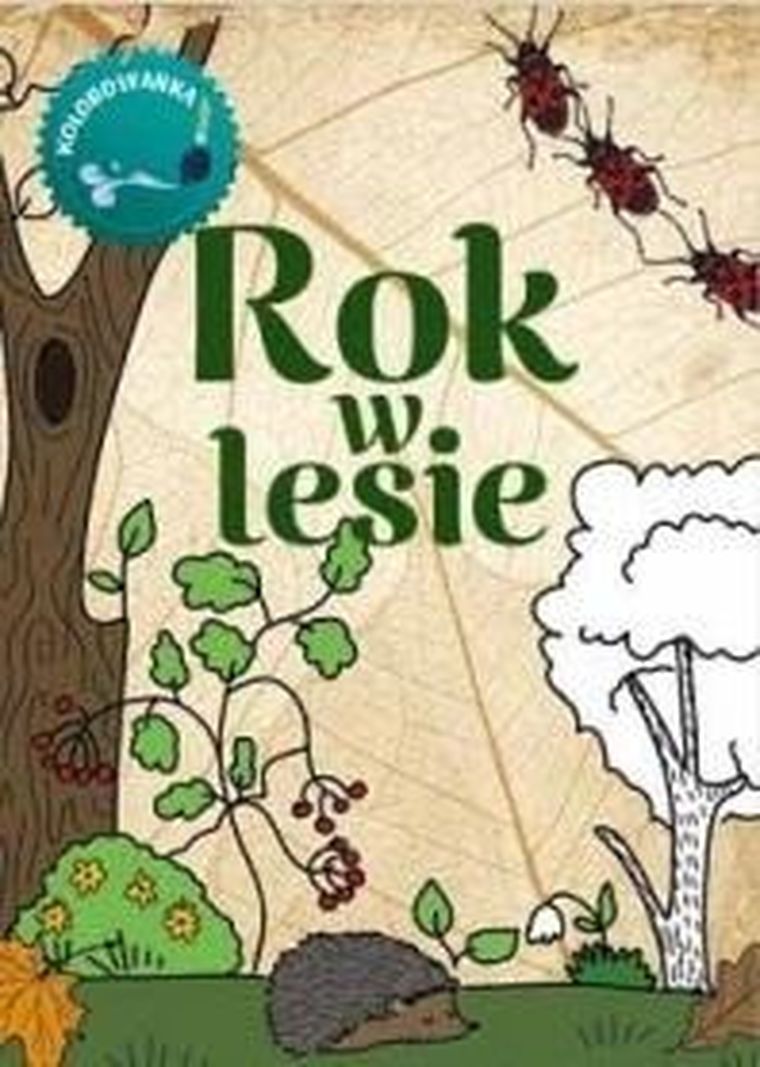 Rok w lesie. Kolorowanka
