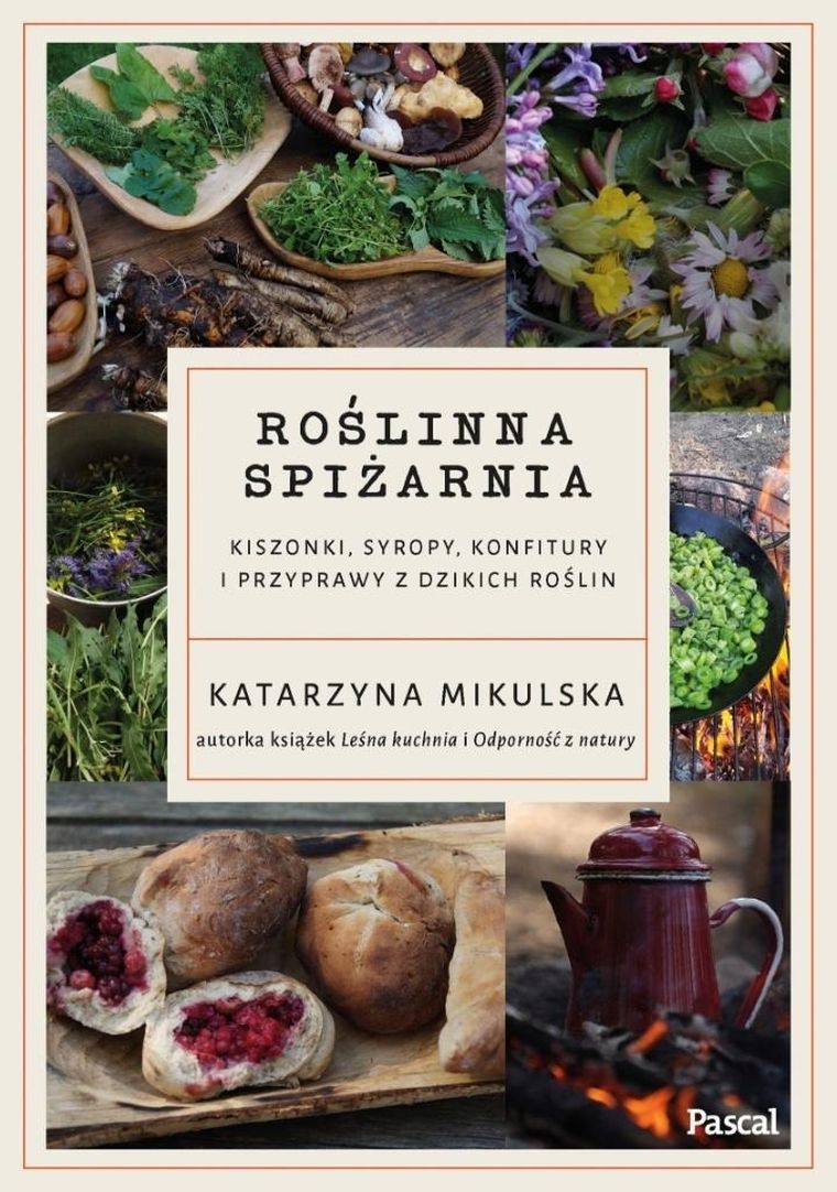 Roślinna spiżarnia. Kiszonki, syropy, konfitury