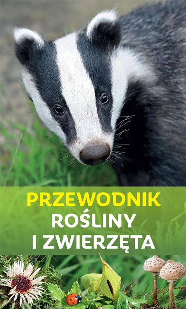 Rośliny i zwierzęta. Przewodnik