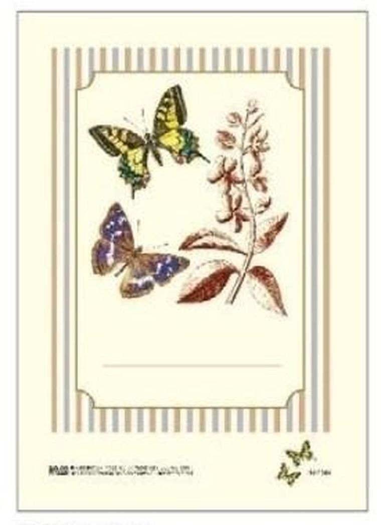 Rossi, naklejki dekoracyjne, motyle