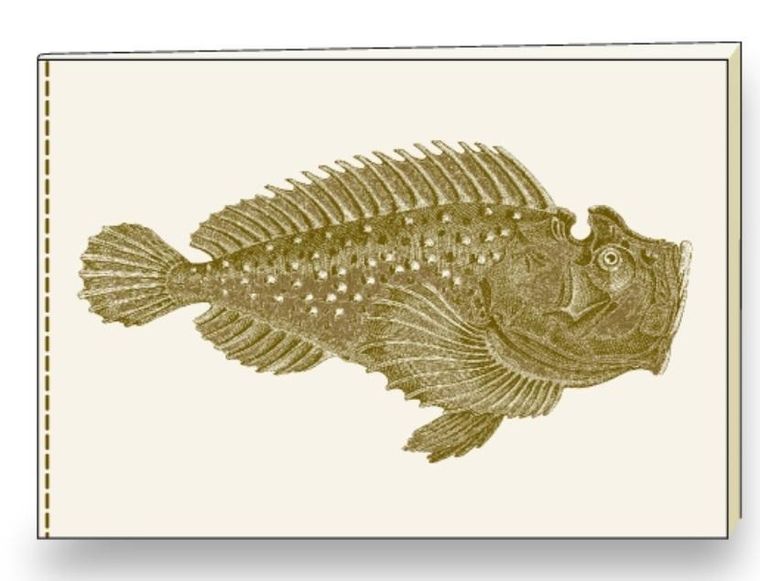 Rossi, notatnik ozdobny, A5, 1 szt.