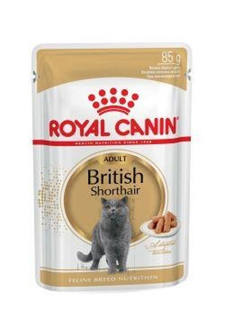 Royal Canin, British Shorthair, karma mokra dla kota, pakiet, 12-85 g