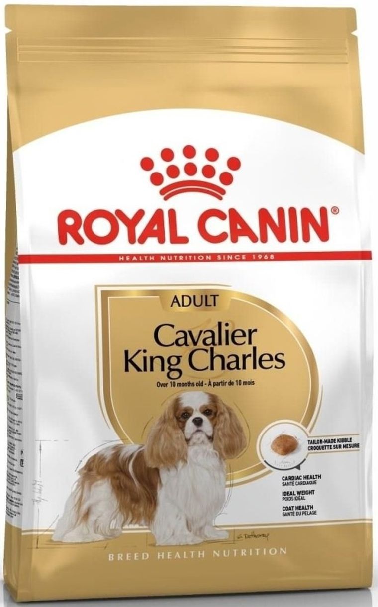 Royal Canin, Cavalier King Charles, Adult, karma sucha dla psa, 1,5 kg