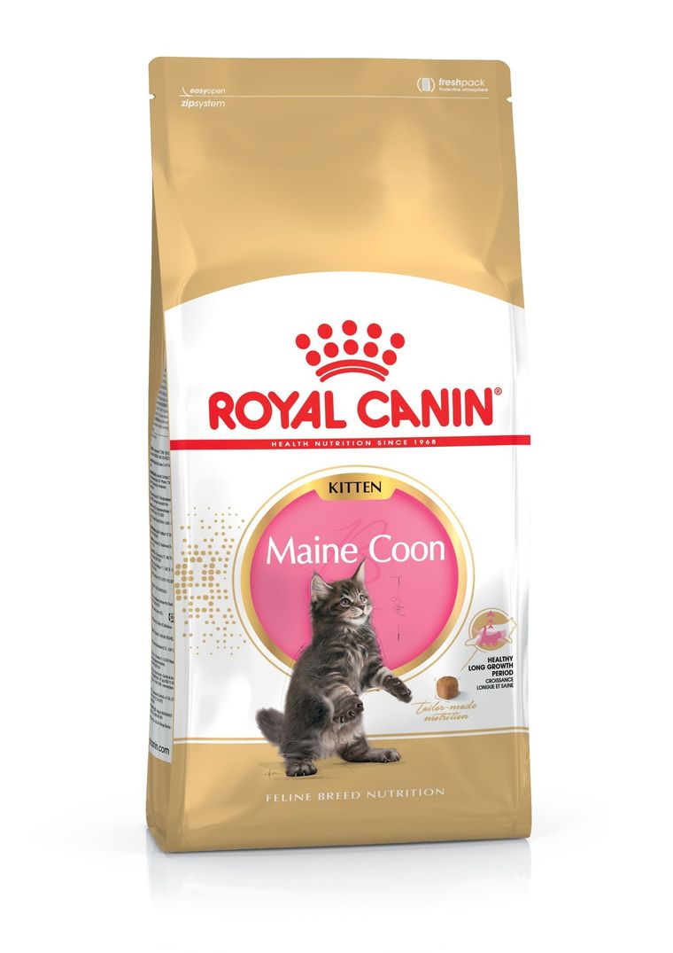 Royal Canin, Maine Coon Kitten, sucha karma dla kociąt, 2 kg