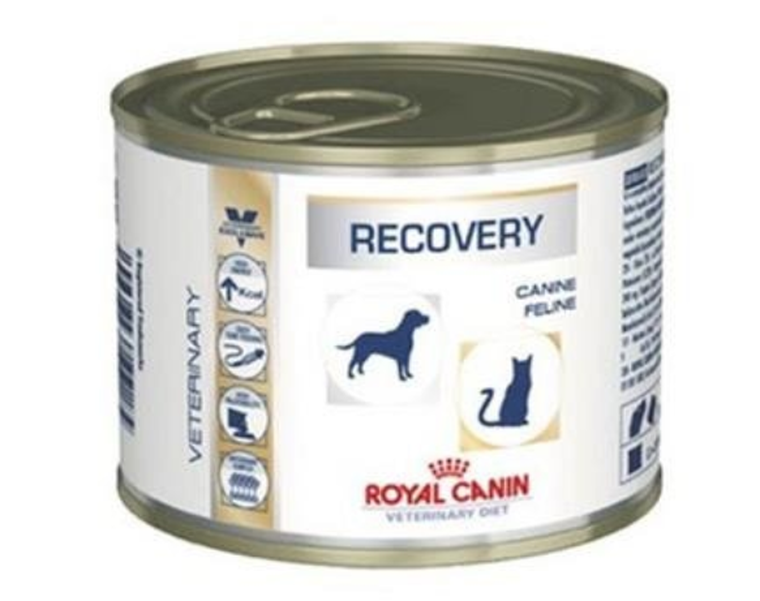Royal Canin, Recovery, Canine, Feline, karma dla psów i kotów po zabiegach chirurgicznych, 195g
,