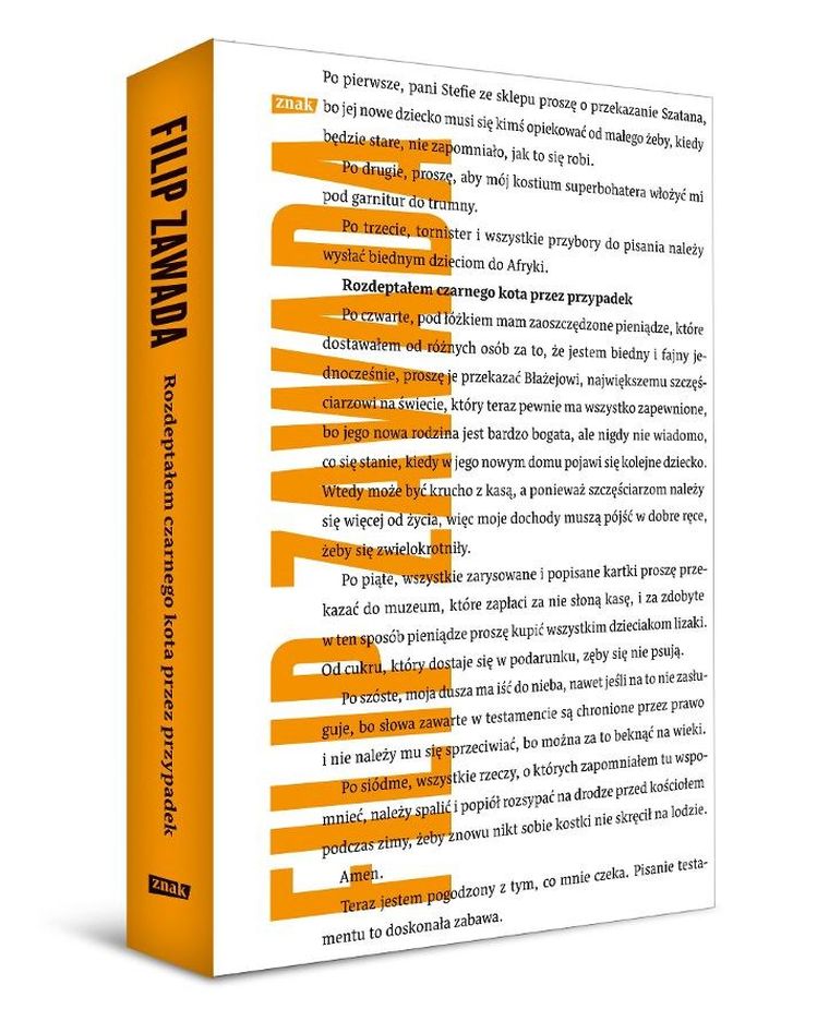 Rozdeptałem czarnego kota przez przypadek