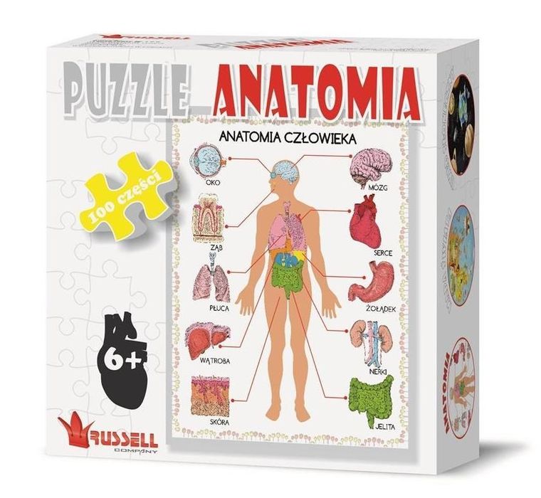 Russell, Anatomia, puzzle edukacyjne, 100 elementów