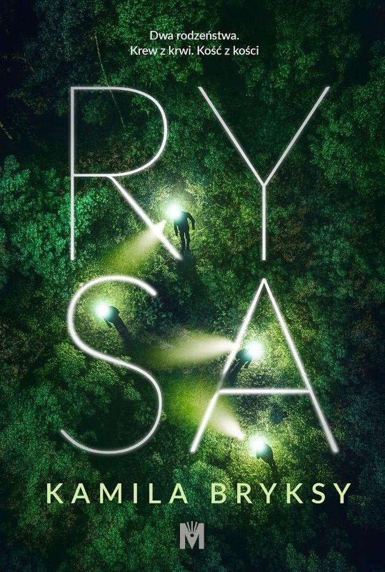 Rysa