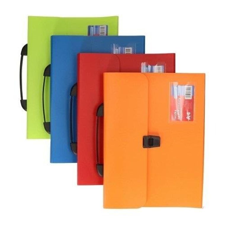 Schemat, teczka z przegródkami, A4, 1 szt.