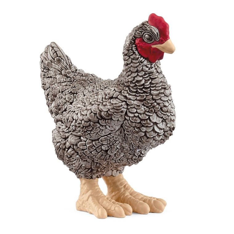 Schleich, Farm World, Kura rasy Plymouth Rock, figurka, 13997