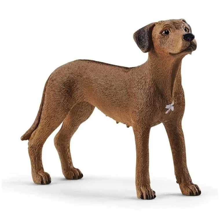 Schleich, Farm World, Rhodesian Ridgeback, figurka, 13895