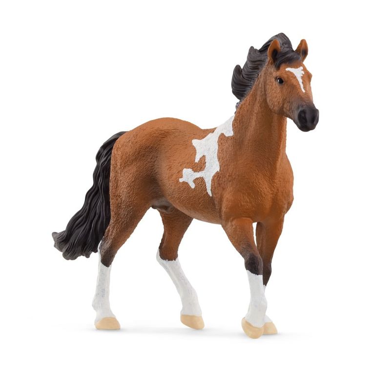 Schleich, Horse Club, Ogier rasy Mangalarga Marchador, figurka, 13978