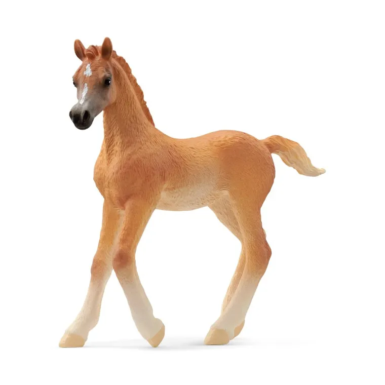 Schleich, Horse Club, Źrbię czystej krwi arabskiej, figurka, 13984